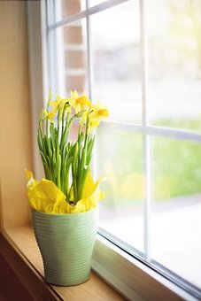 Dust-Window-Sills--in-Seahurst-Washington-dust-window-sills-seahurst-washington.jpg-image