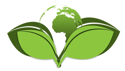 Green-Cleaning--in-REI-Washington-green-cleaning-rei-washington.jpg-image