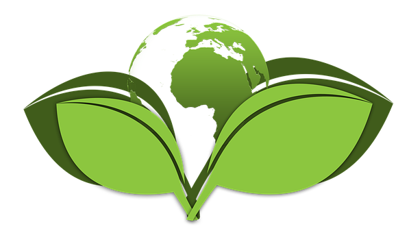 Green-Cleaning--in-University-Place-Washington-green-cleaning-university-place-washington.jpg-image