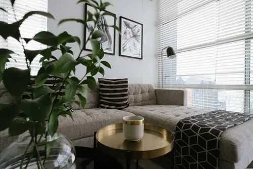Upholstery-Cleaning--in-Oak-Harbor-Washington-upholstery-cleaning-oak-harbor-washington.jpg-image